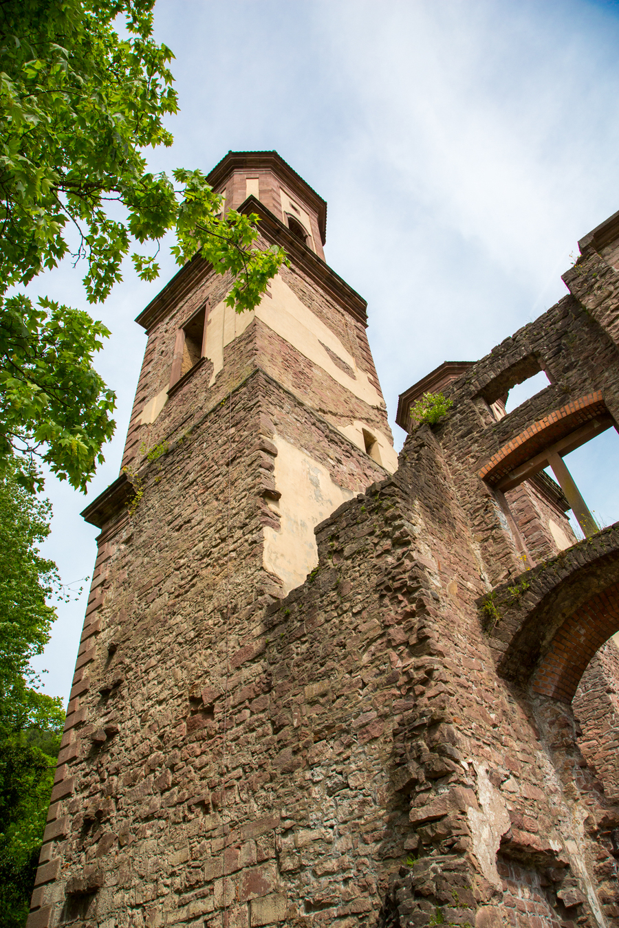 Südostansicht der Klosterruine Frauenalb