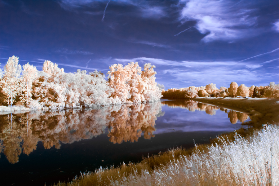 Infrarotzene am Altrheinarm nahe Plittersdorf