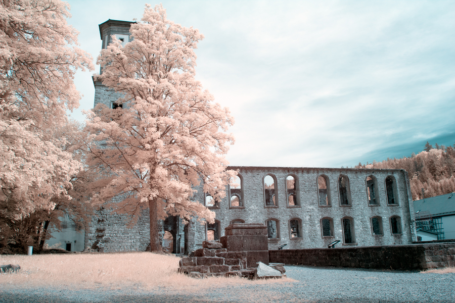 Südansicht der Klosterruine Frauenalb