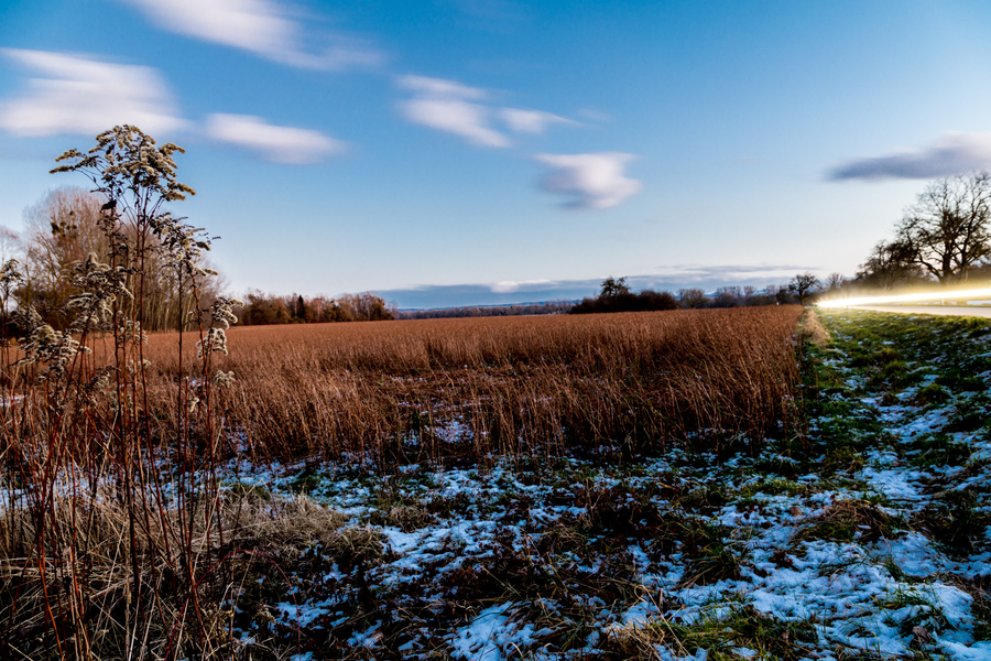 Langzeitbelichtung eines Feldes kurz nach Sonnenuntergang