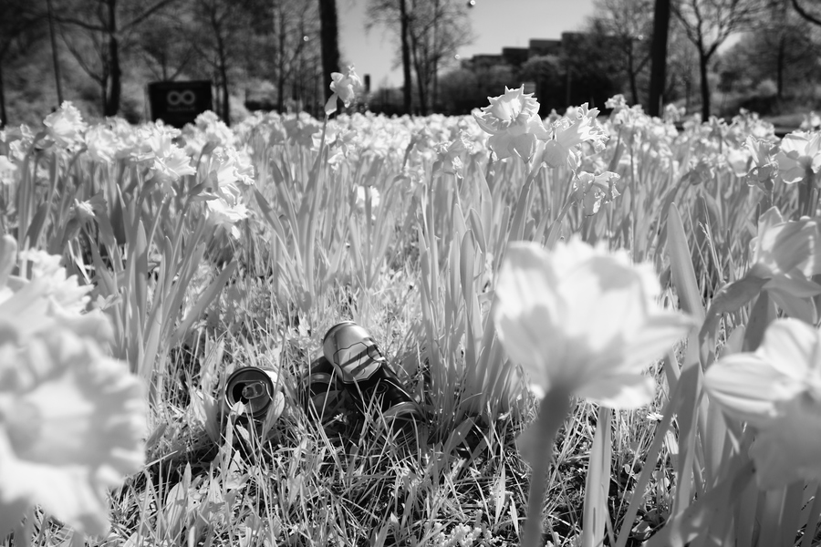 ALLER GUTEN DINGE SIND 3