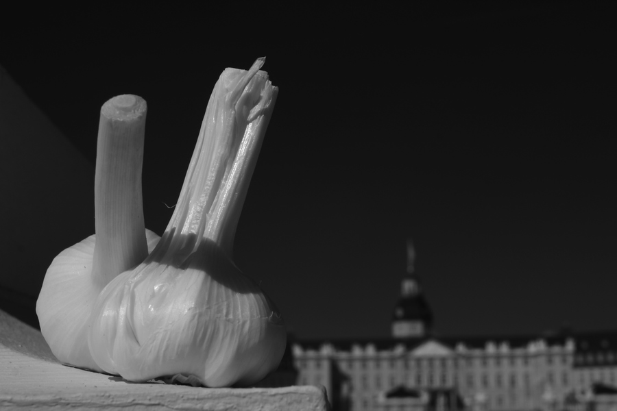 3 METER GEGEN DEN WIND