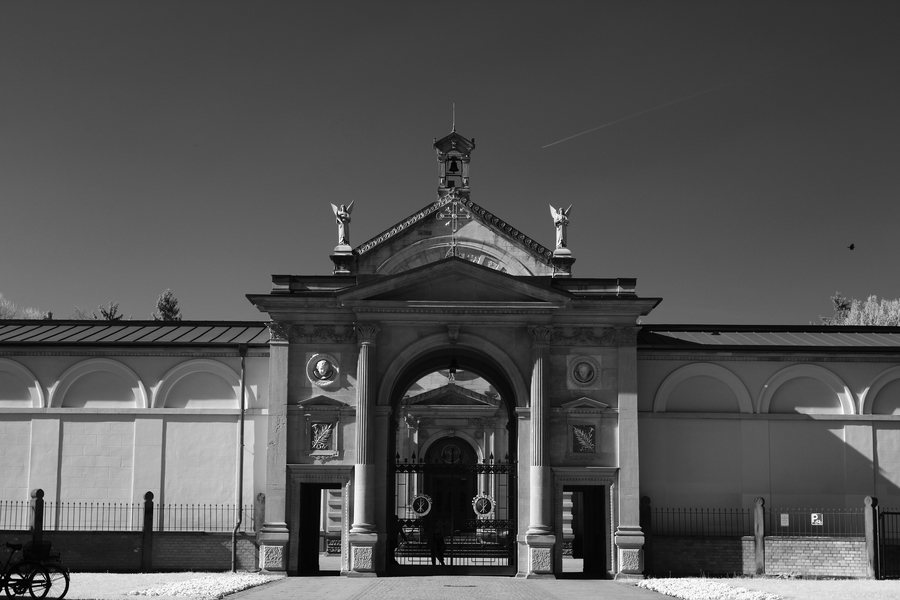 NICHT BIS 3 ZÄHLEN KÖNNEN