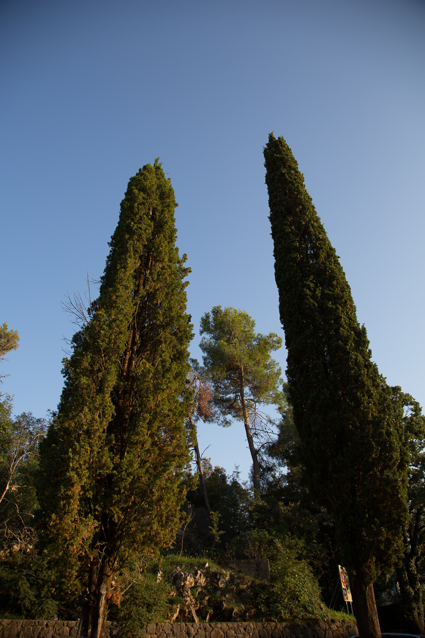 #10 Garten in Malinska