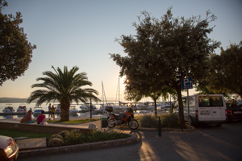 #11 Hafen von Malinska mit Palme